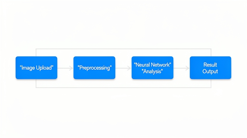 Detection workflow: upload, preprocess, analyze with neural network, return results